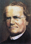 Gregor Mendel