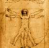 davinci sketch