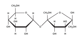 Sucrose molecule
