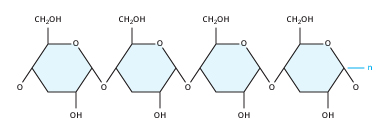 The Starch Molecule