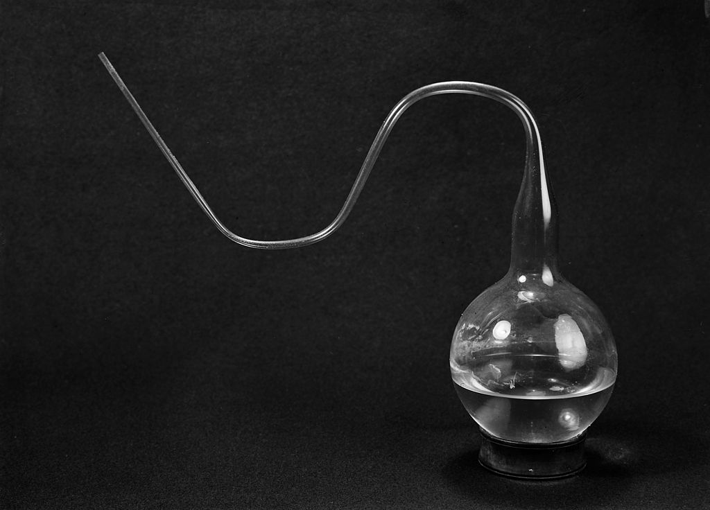 Visionlearning Biology Origins of Life I