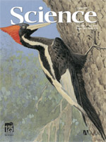 Figure 2: A picture of the cover of Science from June 3, 2005.