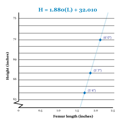 Figure 1: As you can see in this graph, the relationship between femur length and overall height in humans is a linear relationship. The heights and expected femur lengths of three airmen who were possible matches for the remains appear as points on the line.