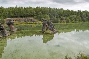 Figura 8: Lago Myvatn – un lago con poca profundidad en el norte de Islandia.