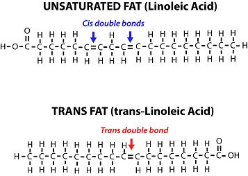 Figure 9: A comparison of the cis double-bond configuration and the trans double-bond configuration.