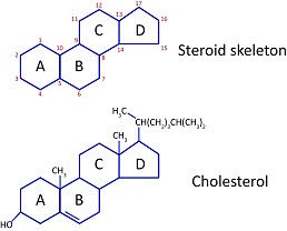 Figure 13: The generic structure of a steroid molecule and the structure of cholesterol.