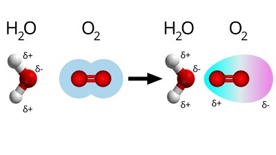 Figure 4: When water and oxygen molecules meet (left), the negative dipole of water repels electrons around the oxygen molecule, creating a temporary dipole in the oxygen molecule (right).