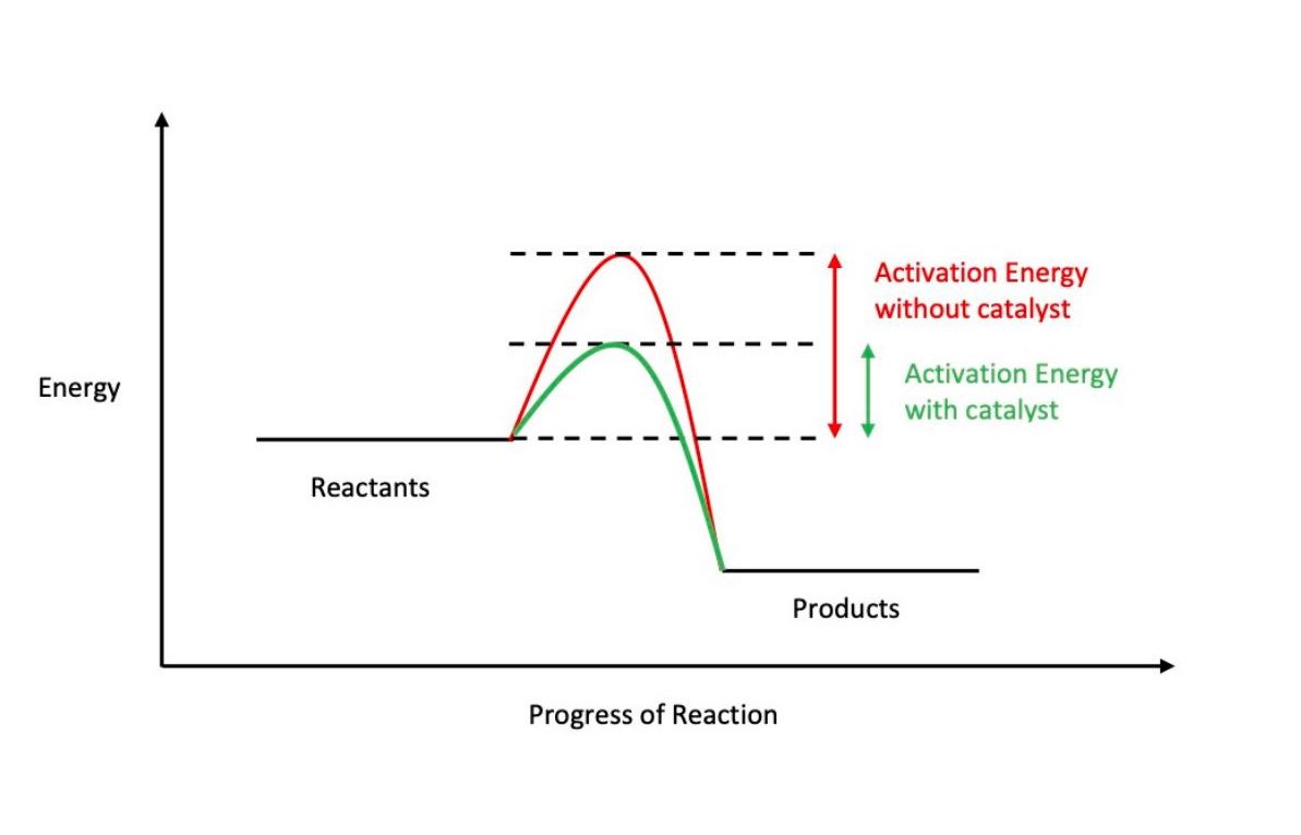 Figure 3: Catalysts speed up reactions by lowering the activation energy.