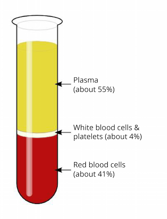 Composition of blood