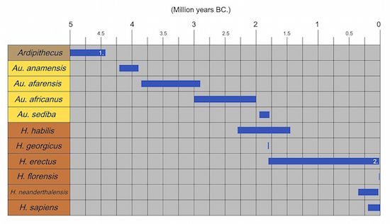 Human evolution timeline