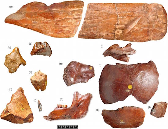 Piltdown site artifacts