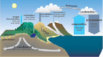 Hydrologic Cycle