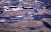 water - liquid
