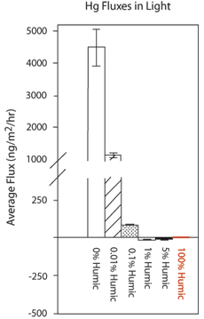 graph - peer review comments data