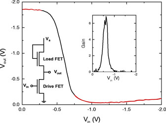 Schon et al., 2001 B - Figure 4