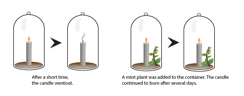 Preistley's experiment