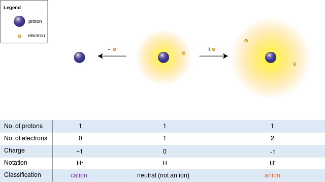 Cation and anion