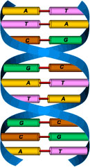 dna-still
