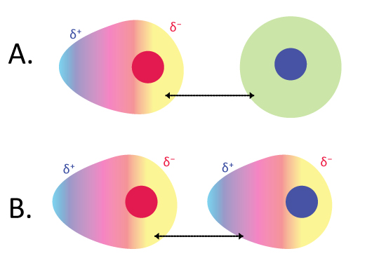 dipole induced 2