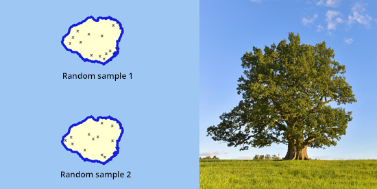 Map with oak