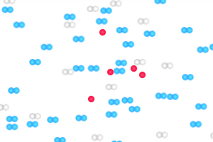 The Effect of State on Diffusion: Gases versus Liquids