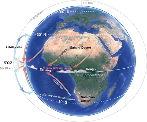 A diagram showing the relationship between the Hadley cell and continental climate