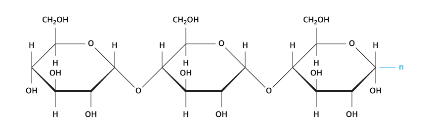 basic carbohydrate chemical structure