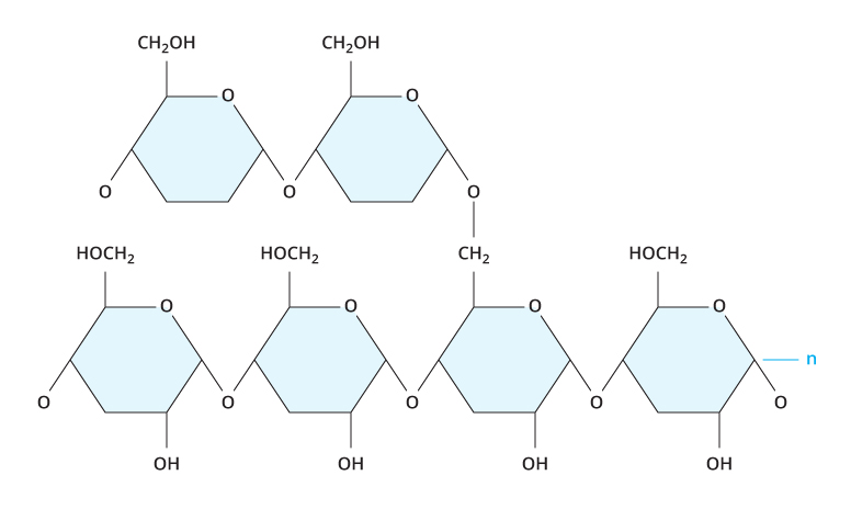 Organic Molecules Contrast Chart