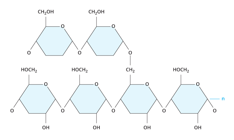 Simple And Complex Carbs Chart