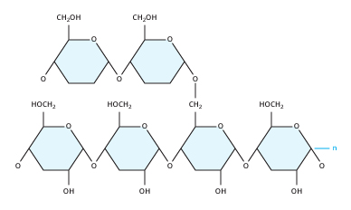 Difference Between Simple And Complex Carbohydrates Chart