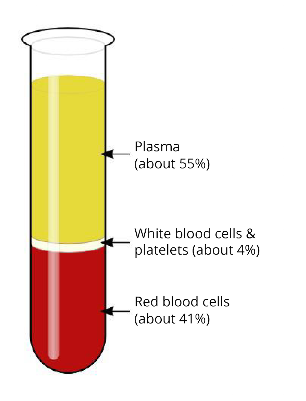 composition of cells red blood Visionlearning Biology  Biology  I Blood