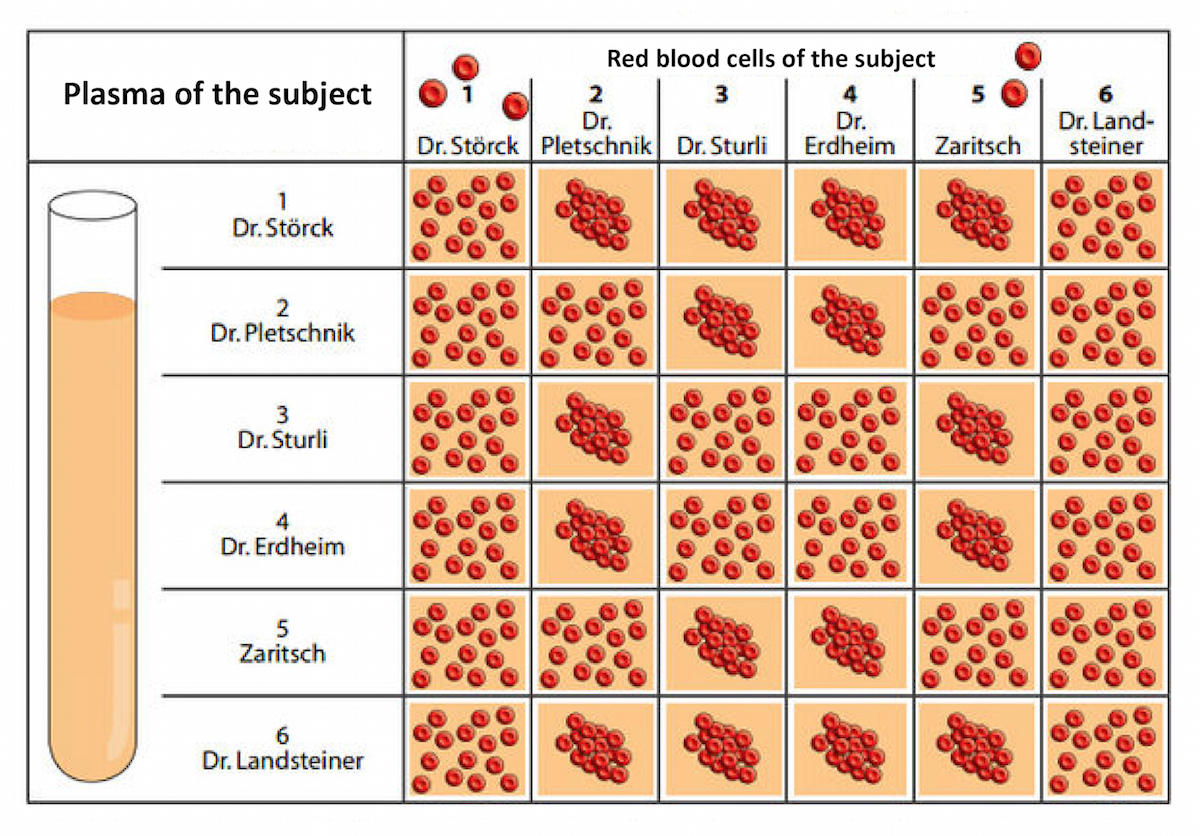Live Blood Analysis Chart