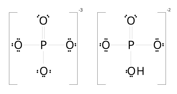 HPO4-2 and PO4-3. 
