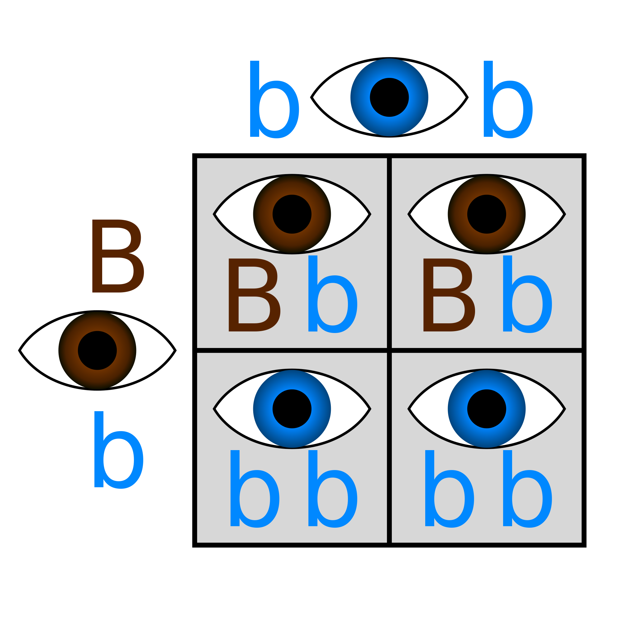 3 facts about eye color genetics eye color chart eye color chart - eye ...