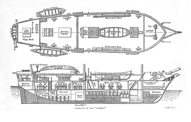 Figure 1: The HMS Beagle, a 90.3 ft, 10 gun brig-sloop of the British Royal Navy. This file comes from Wellcome Images, a website operated by Wellcome Trust, a global charitable foundation based in the UK.
