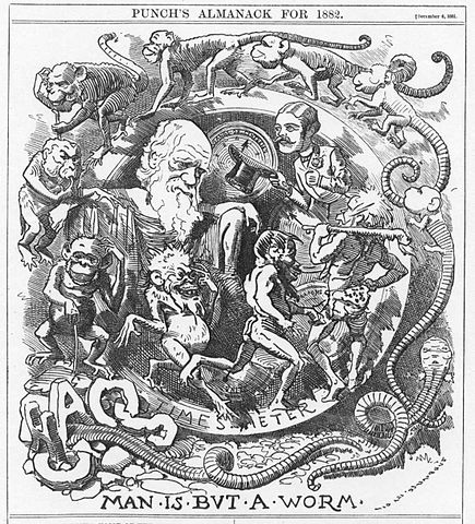 Figure 4: Darwin's theories received some strongly negative reactions when they were published.  Here Punch's Almanack, a satirical publication, satirizes Darwin's theory of evolution.