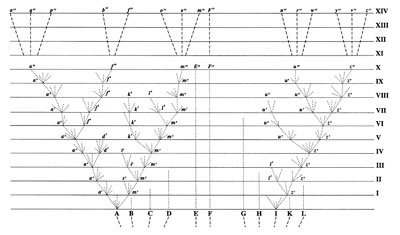 Figure 1: This was the only illustration that appeared in Origin of Species.