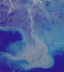 Figura 4: Una fotrografía desde el espacio, muestra el delta del Mississippi. El color marrón muestra los sedimentos del río y dónde están siendo depositados en el golfo de México.