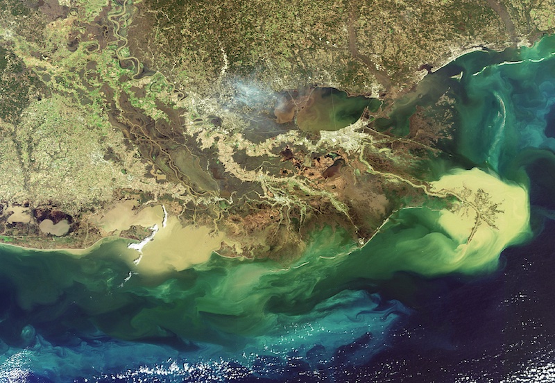 Figure 4: Satellite image of the Mississippi River in the United States where it reaches the Gulf of Mexico. The brown colors indicate sediment that was carried by the river and is being deposited in the river delta.