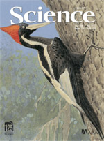 Figura 2: Una fotografía de la tapa de Science del 3 de junio, 2005.