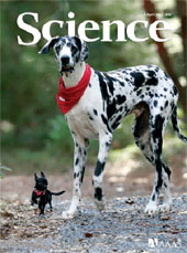 Figure 1: Scientific journals publish results from diverse research projects. Pictured: the April 6, 2007, cover from Science magazine.