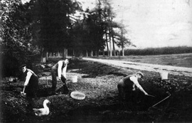 Figura 1: Charles Dawson (derecha) and Smith Woodward (centro) excavando la gravilla de Piltdown.