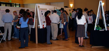 Figure 1: Undergraduate students presenting their research at a poster session. 