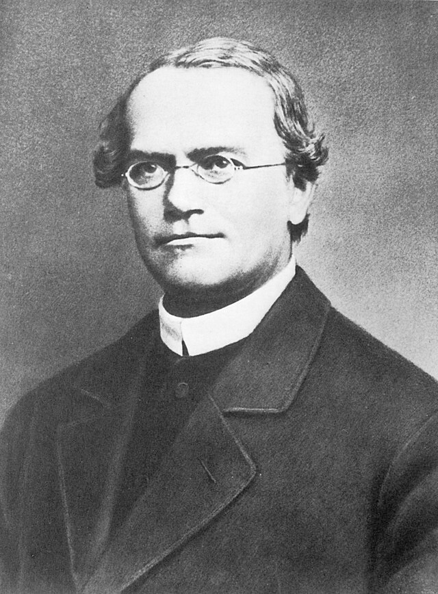 Figure 2: Gregor Mendel.