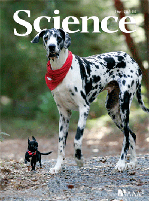 Figure 2: Cover from volume 316, issue 5821 of the journal Science, issued April 6, 2007.