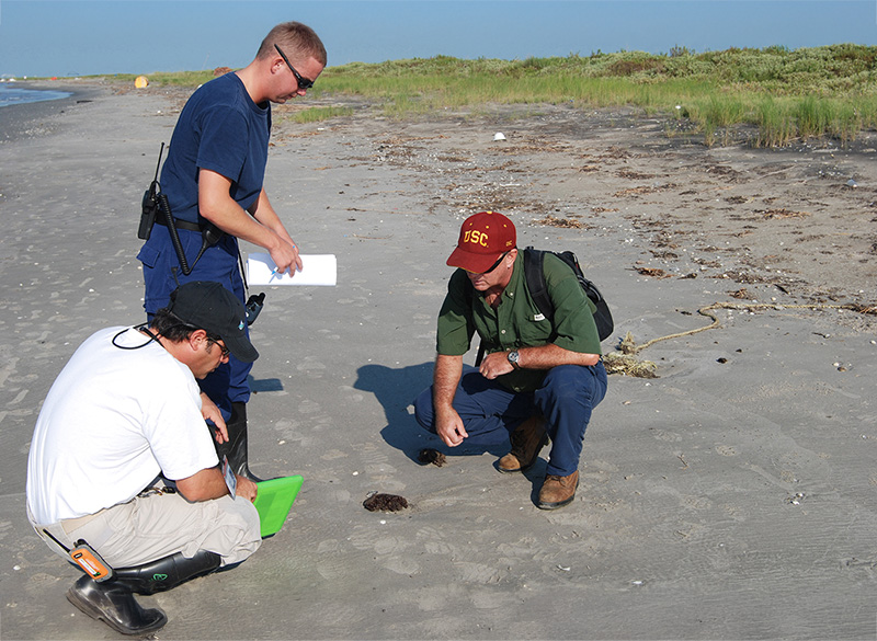 Figure 1: Scientists examining tar balls on Timbalier Island, Louisiana