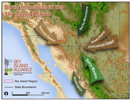 Figure 5: The Sky Island region of the southwestern US and northern Mexico (outlined in red) crosses into two countries and four states. Because of its location, biodiversity is extremely high with species mixing from the Sonoran and Chihuahuan Deserts, the Rocky and Sierra Madre Mountains, the Great Plains, and the Neotropics.