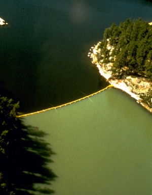 Figura 7: Una fotografía aérea del Lago 225 tomada en Agosto del año 1973. La cortina plástica dividiendo el lago en las partes angostas permitió que el equipo de Schindler cargara cada mitad del lago con diferentes cantidades de fosfatos. La cuenca del norte, mostrado en la parte de debajo de la foto, se hizo eutrófica debido al exceso de fosforo. 