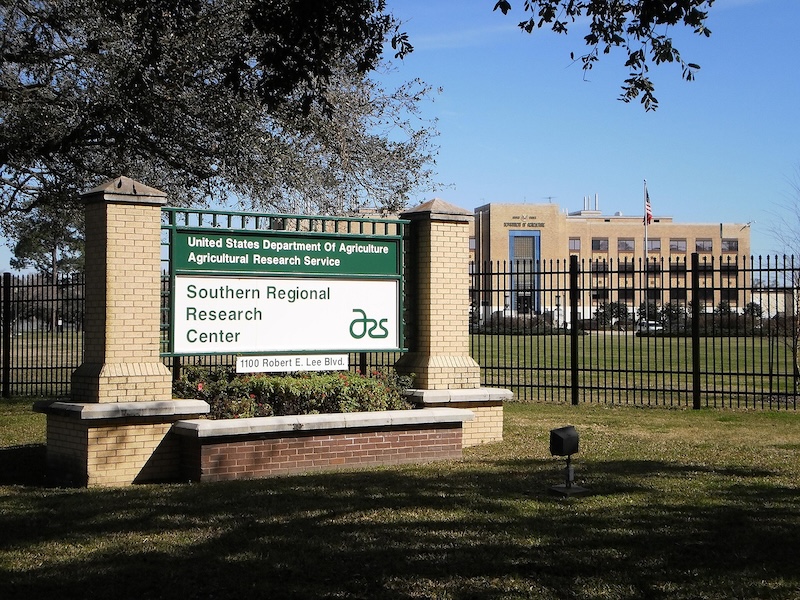 Figure 2: Ruth Benerito led a team of cotton chemists at the Southern Regional Research Center in New Orleans.