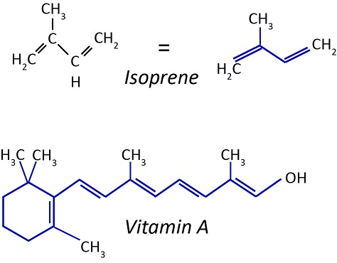 Figure 17: Isoprene units contain branching five-carbon chains. Animals are able to break down these molecules into vitamin A.